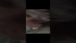 1000003413.mp4