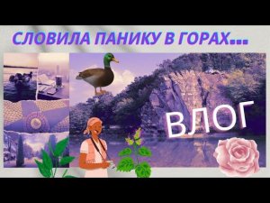 ВЛОГ Горячий ключ Скала Петушок - Утки, кофе, парк, посылка, relaxing