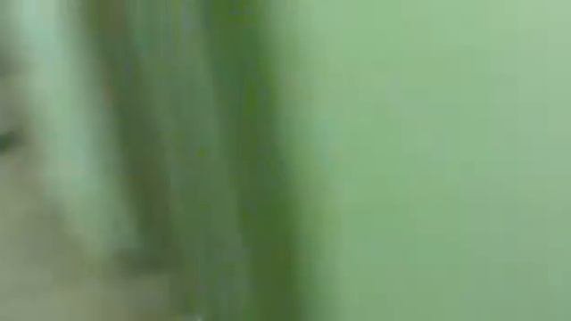фуджи