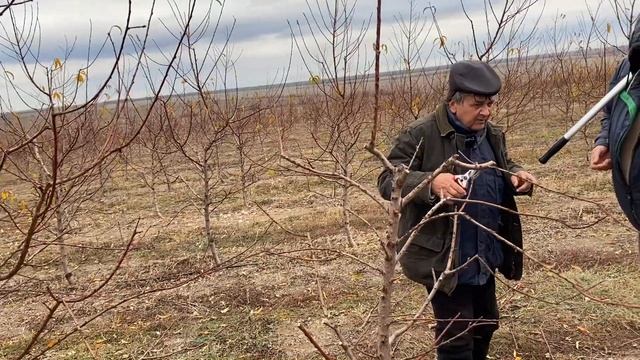 Сад после градобоя. Одесская обл. смотреть онлайн