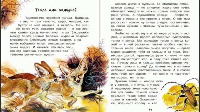 #3 Где язык у бабочки и для чего коту усы? смотреть онлайн