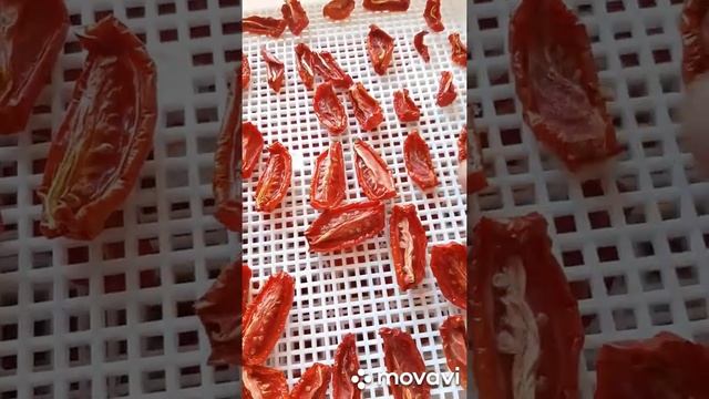 ?Вяленые помидоры с чесноком и специями? смотреть онлайн