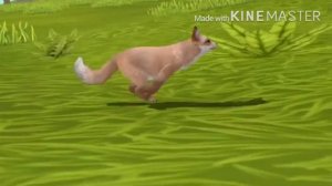 +Мой демон хранитель+Сериал+1/?+Вайлд Крафт+Крыса+