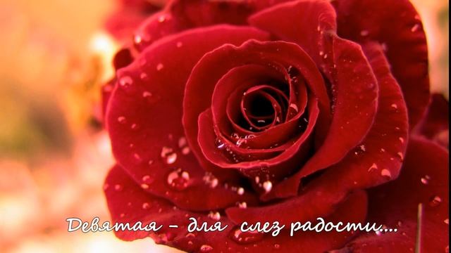 Букет из 17 роз для тебя.... смотреть онлайн