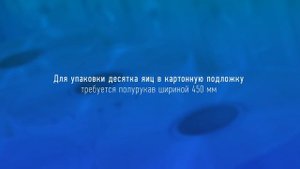 Сравнение термоусадочной пленки ПОФ , ПВХ и ПВД  Купить 8-800-555-72-87