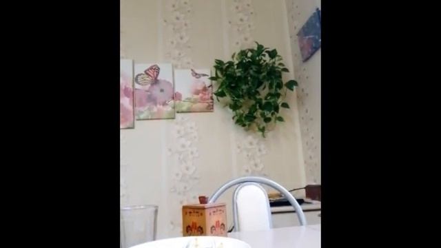 Готовлю пирог " Зебра " на день рождения брату смотреть онлайн