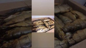 Горячее и холодное  Копчение в Коптильне Москит! Настоящее Москитовское Качество продукта! коптилка