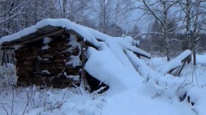 Заброшенная деревня Якушиха в Клязьминско-Лухском заказнике