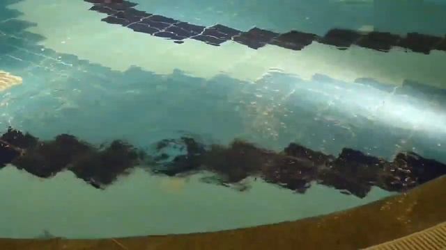 Сколько ГРАДУСОВ?!? Бассейны, море в феврале 2022г. Сауна. Delphin Imperial Lara 5*.? смотреть онлайн