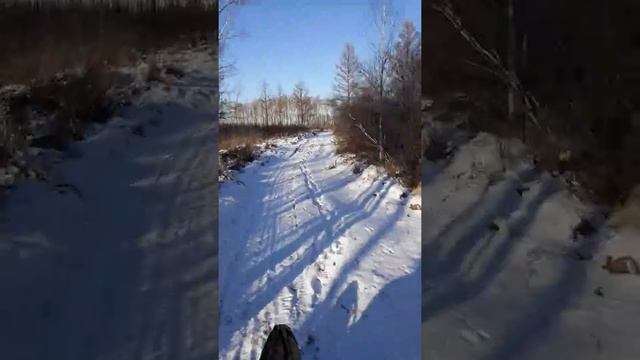 Снегоход Буран первый выезд после лета смотреть онлайн