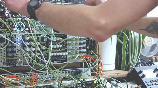 Anthurium - Limbo [fuzzy spring time ambient music on the modular synth] смотреть онлайн