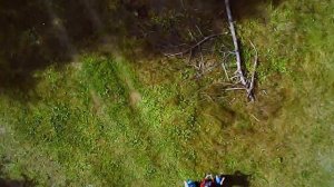 Полет Квадракоптера в Лесу