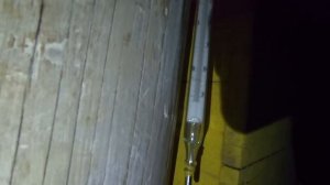 Моя защита от медведя. Устройство.