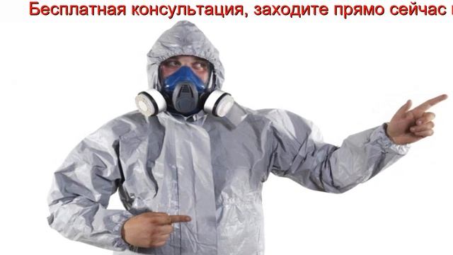 Уничтожение клопов Москва отзывы смотреть онлайн