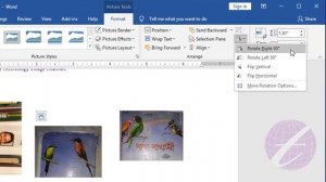 Group Picture in Word & Rotate Picture in MS Word 2016 | Microsoft Word Tutorial Bangla