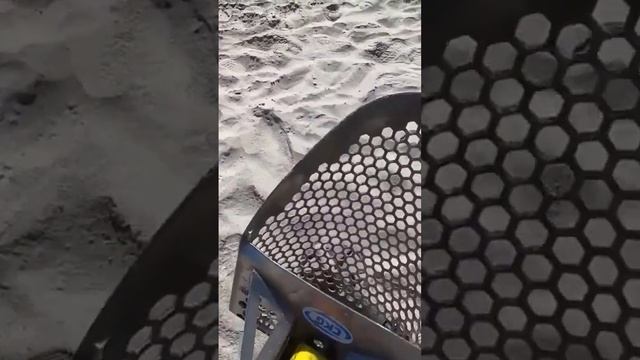 Metal Detecting Gold Rings on a Beach