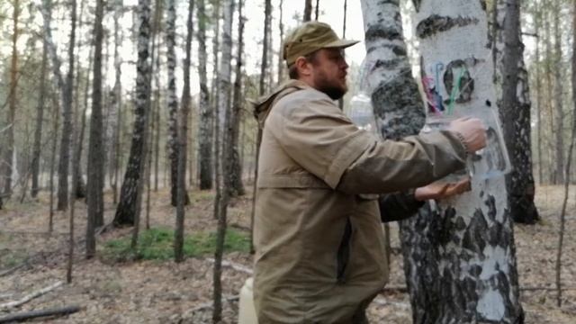Быстрый  сбор берёзового сока 2-3 литра. смотреть онлайн