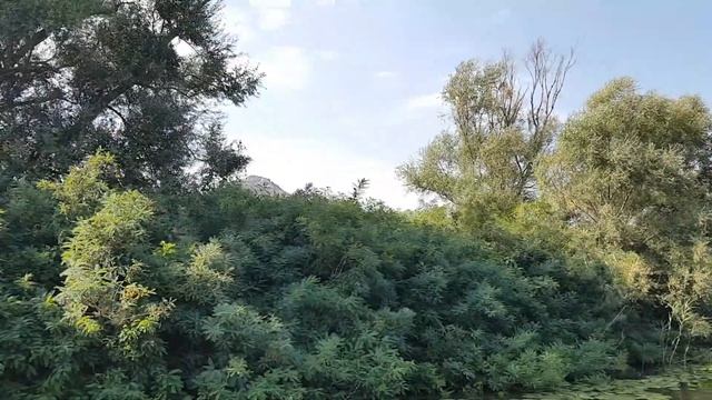 Экскурсия по Скадарскому озеру. Черногория.