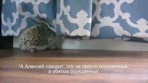 Ненавижу СССР часть 1 (ежик лисичкин)