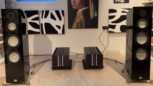 Marten Bird, Krell FPB 650 mc, PS Audio DS Memory Player, Perfect Wave  DSDac, PowerPlant15, Jorma