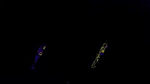 Американская минута славы