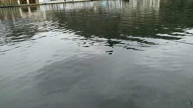 Рыбалка в Балаклаве 08.12.2019г. смотреть онлайн