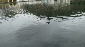Рыбалка в Балаклаве 08.12.2019г.