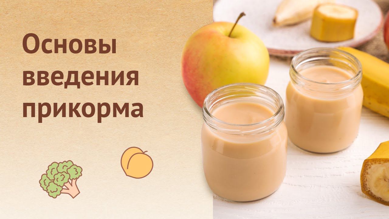 Основы введения прикорма: с каких продуктов лучше начать?