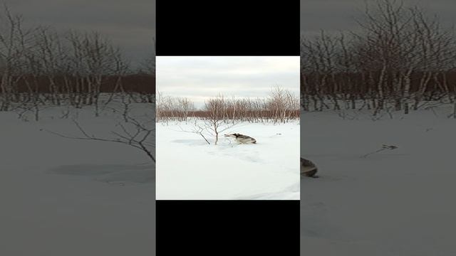 Вот она любовь к природе