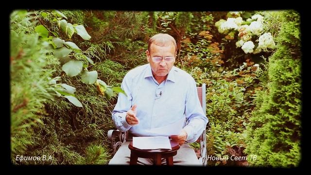 Ефимов В.А. - Кто же на самом деле Путин? смотреть онлайн