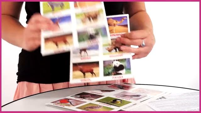 Вундеркинд с пеленок Лото Животные 005) смотреть онлайн