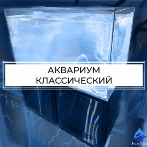 Промышленный аквариум для бизнеса.