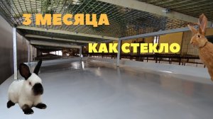 Результат эксплуатации полиуретанового покрытия поддонов для кроликов