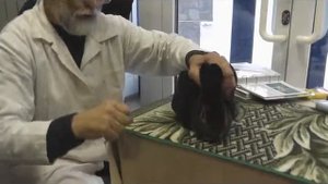 Экспертиза кролика породы Рекс, окрас кастор (бобр)