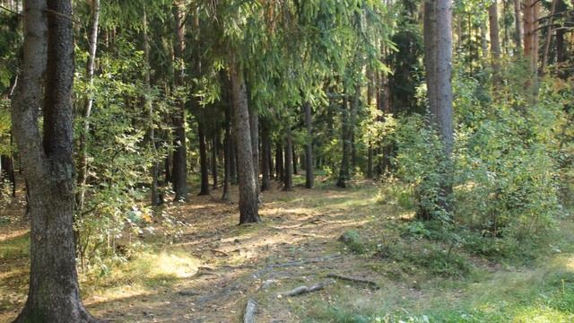Прогулки по Ораниенбауму с воспоминаниями #2 (Вокруг Красного пруда.Часть вторая)