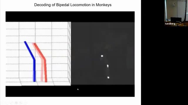 Brain-computer interfaces for functional restoration, neurorehabilitation - Mikhail Lebedev смотреть онлайн