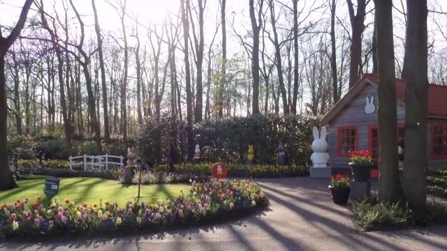 Keukenhof (large tulip park) in Lisse, the Netherlands смотреть онлайн