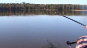 Рыбалка в Клинском рыбхозе. Фидер и штекер