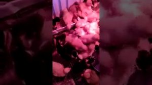 Брудер для птицы из старого холодильника.