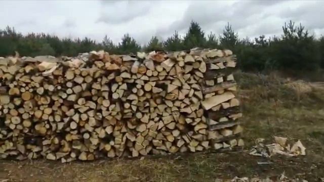 ??Виноградник, участок и теплицы Дубовского Александра, Гомельская область. Виноград Беларуси.