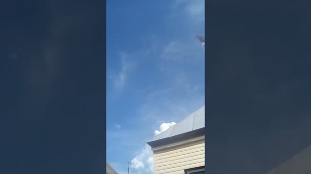 Минские березовые на посадке смотреть онлайн