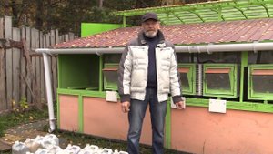 Каменев С.С. О полезности цветущей воды для кроликов.