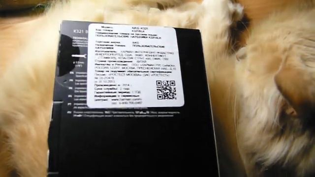 Cats review Earphones New AKG K321 In-Ear Headphones (Black) смотреть онлайн