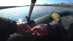 Дождался выхода щуки и понеслось! Дикий пруд полный рыбы! рыбалка на спиннинг