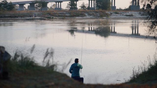PELECUS CULTRATUS рыба реки ПРИПЯТЬ !!! смотреть онлайн