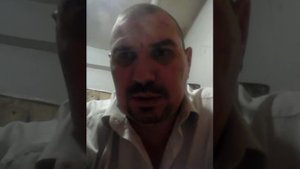 Правильная плотность посадки перепелов в клетку.