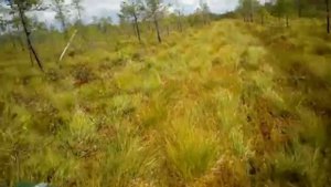 VID-20200820-WA0010.mp4