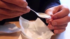 Как вырастить попугая из яйца?