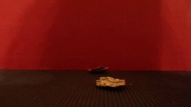 мастер - класс как сделать салат для lps смотреть онлайн