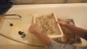 СТИРКА СОБАЧЕЙ ШЕРСТИ В ДОМАШНИХ УСЛОВИЯХ